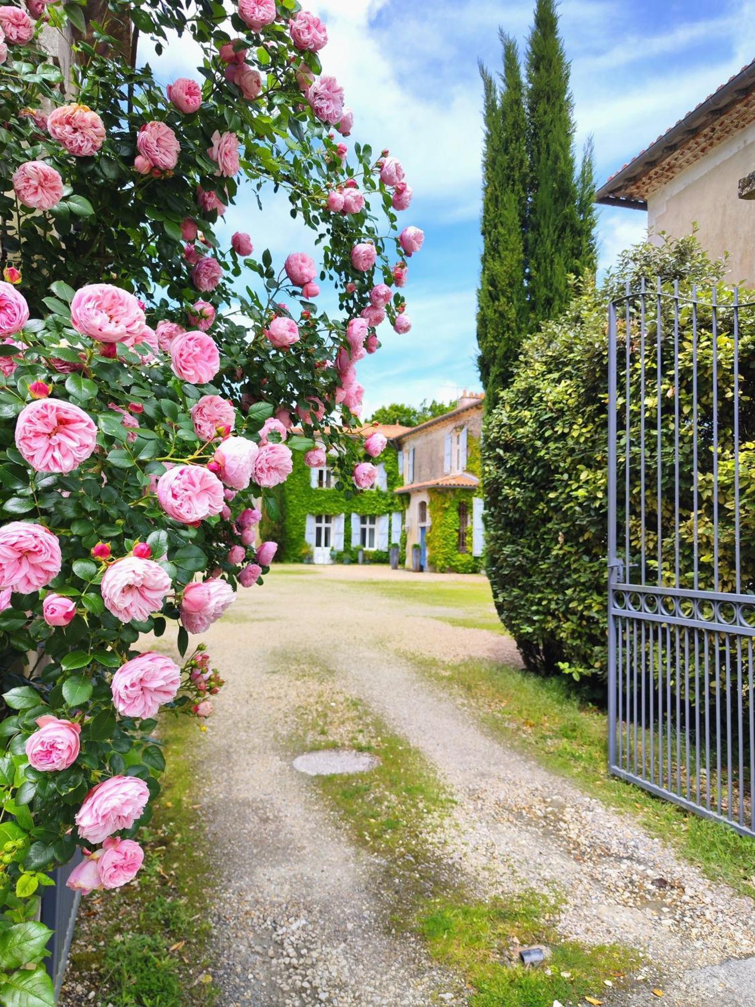 Hotel Chateau De Didonne Semussac Экстерьер фото